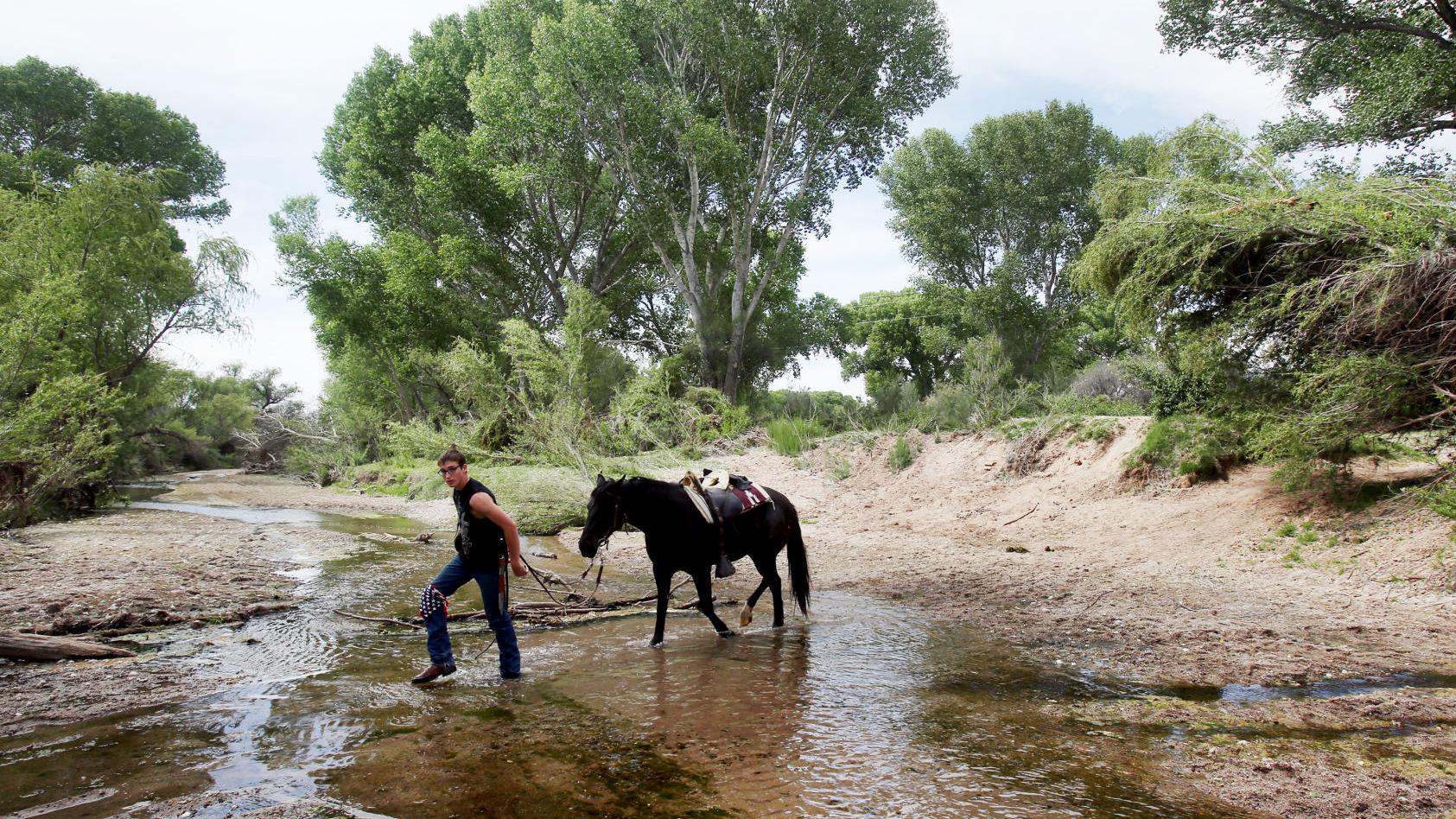 'Citizen scientists' will help map surface water in San Pedro River